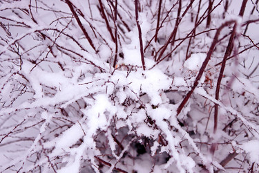 Similar image 1122857