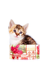 Similar image 1122875