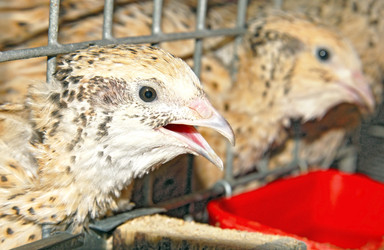 Similar image 1122913