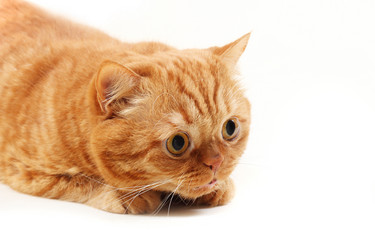 Similar image 1122953