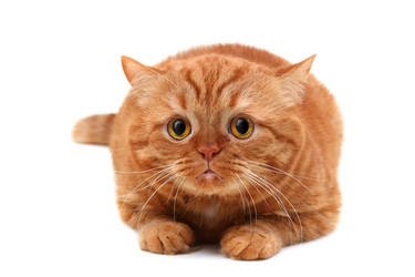 Similar image 1122956