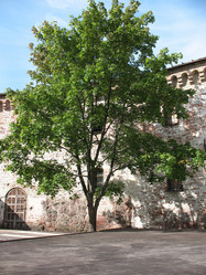 Similar image 1122958