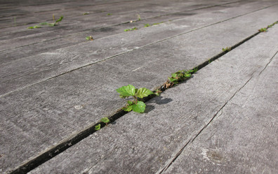 Similar image 1122961