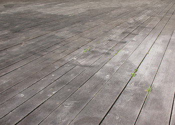 Similar image 1122962