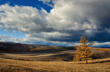 Similar image 1124654