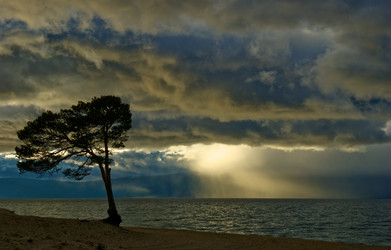 Similar image 1124705