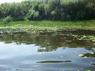 Similar image 1124708