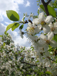 Similar image 1124709