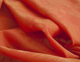 Similar image 1125099