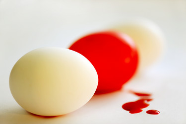 Similar image 1125121