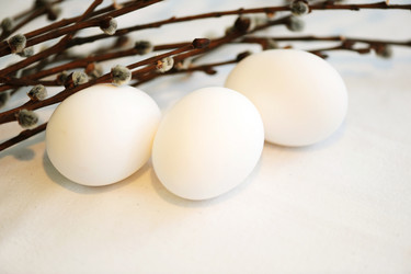 Similar image 1125129