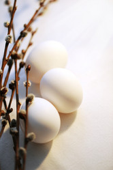 Similar image 1125136