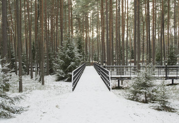 Similar image 1125150