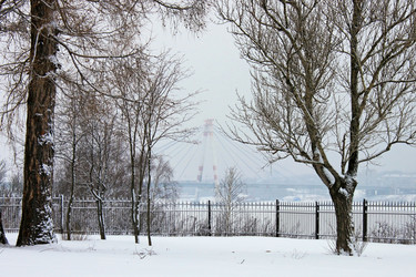 Similar image 1125226