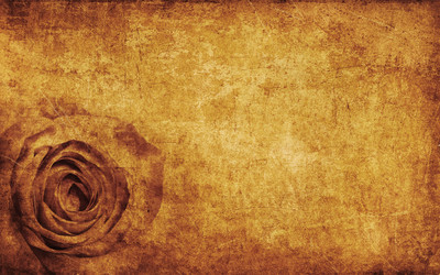 Similar image 1125301