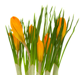 Similar image 1125370