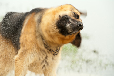 Similar image 1125401