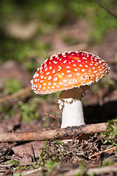 Similar image 1125402