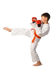 Similar image 1125423