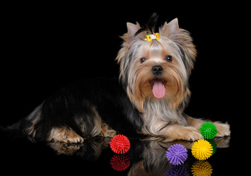 Similar image 1125601