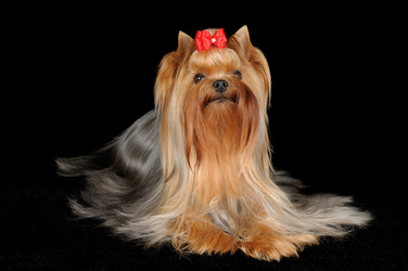 Similar image 1125603