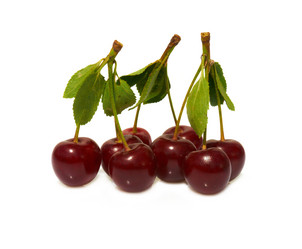 Similar image 1125605