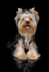 Similar image 1125606