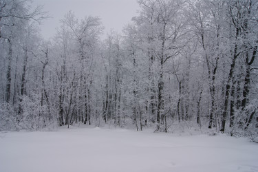 Similar image 1125617