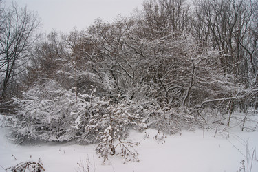 Similar image 1125618