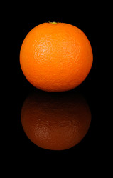 Similar image 1125637