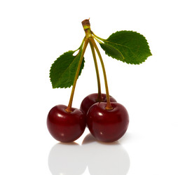 Similar image 1125642