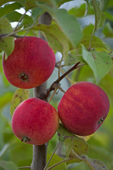 Similar image 1125648