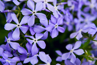 Similar image 1125676