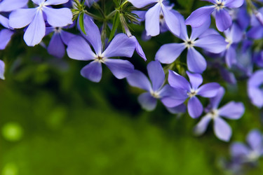 Similar image 1125677