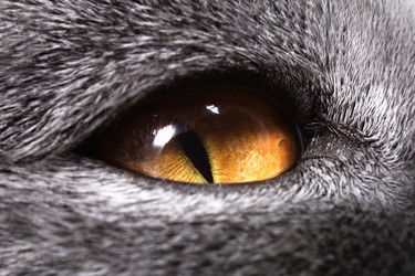 Similar image 1125684