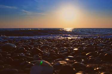 Similar image 1125687