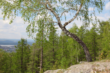 Similar image 1125694