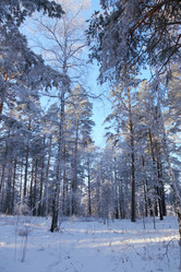 Similar image 1125696