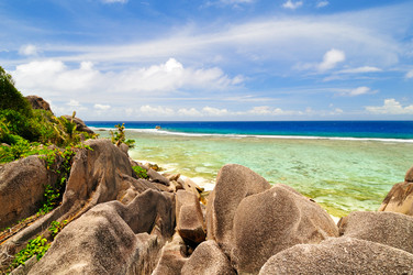 Similar image 1125739