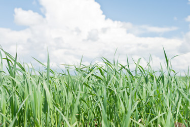 Similar image 1125749