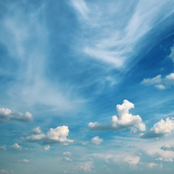 Similar image 1125782