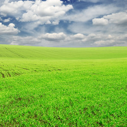 Similar image 1125785