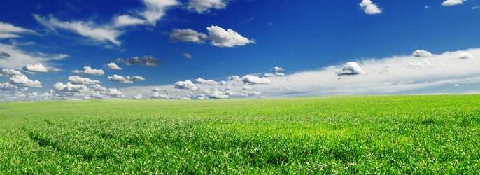 Similar image 1125792