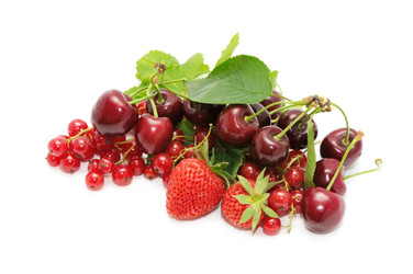 Similar image 1125794