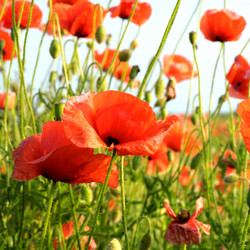 Similar image 1125801