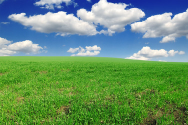 Similar image 1125802