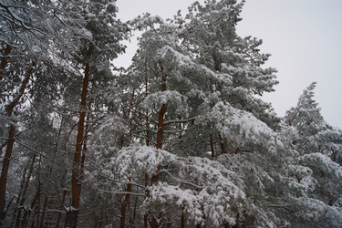 Similar image 1125803