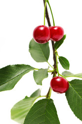 Similar image 1125804