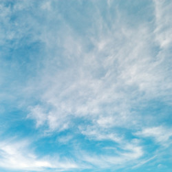 Similar image 1125808