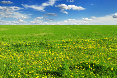 Similar image 1125809